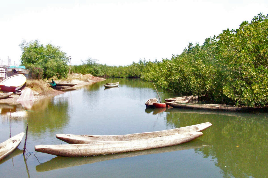 National Parks and Protected areas of Senegal, The Gambia, fishing boats