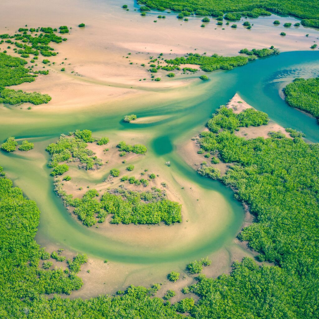 National Pars and Protected areas, Senegal, Saint Louis